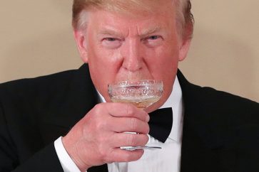 trump11