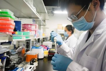 lab