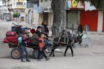 gaza_diligence
